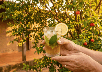As 4 vantagens principais de tomar chá de pitanga nos dias quentes para proteger as suas células