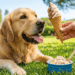 Seu pet merece um docinho, a receita de sorvete de banana para cães que refresca o pet no calor