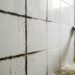 Passar água sanitária no rejunte do banheiro: quando usar e como evitar mofo preto que volta mesmo após a limpeza