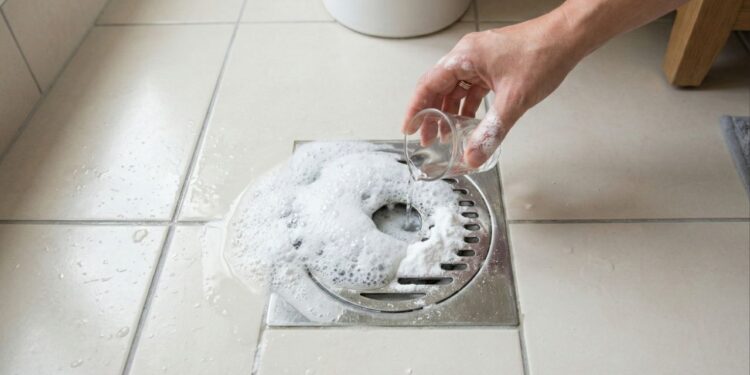 Passar vinagre no ralo do banheiro: quando fazer isso e como evitar mau cheiro e retorno de espuma