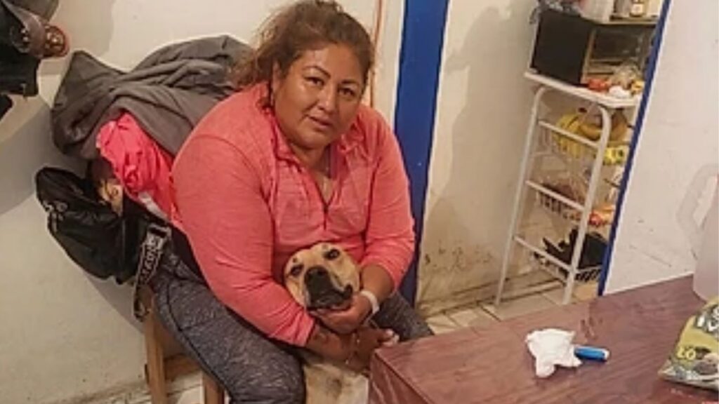 Família faz prótese com garrafa pet e cabo de vassoura para ajudar sua cachorrinha, emocionando internautas
