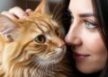 Como o mundo se apresenta aos olhos de um gato? Uma comparação com a visão humana através de imagens