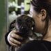 Veterinária emociona ao explicar por que negar uma adoção também pode salvar a vida de um cachorro