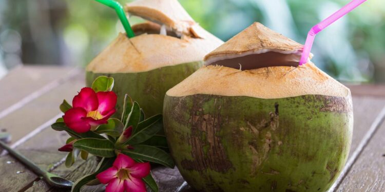 água de coco