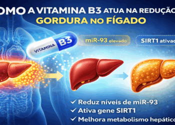 Estudo aponta 3 efeitos positivos da vitamina B3 contra gordura no fígado