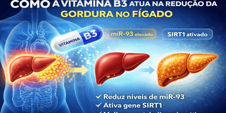 Estudo aponta 3 efeitos positivos da vitamina B3 contra gordura no fígado