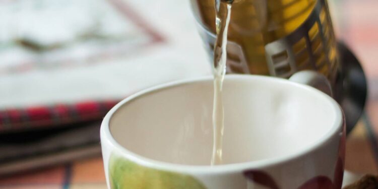 Os benefícios digestivos dessa erva que transformam o seu bem-estar logo após o jantar