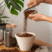 Do café à flor: como resíduos da sua cozinha podem transformar suas plantas