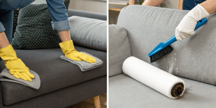 Sofá cheio de pelos de gato? Veja métodos rápidos que funcionam sem precisar de um aspirador