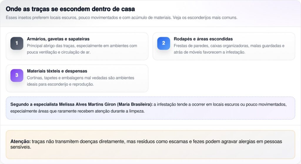 Adeus às traças: como identificar e acabar com o inseto que destrói seu guarda-roupa