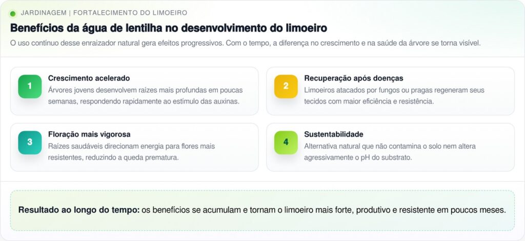 Por que é recomendado regar limoeiro com água de lentilha e quais os benefícios?