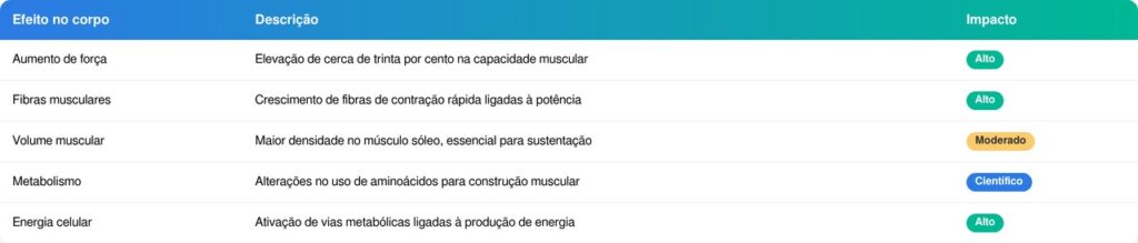O que acontece no corpo com essa bactéria?