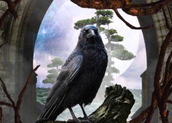 Por que os corvos são considerados alguns dos animais mais inteligentes do mundo?