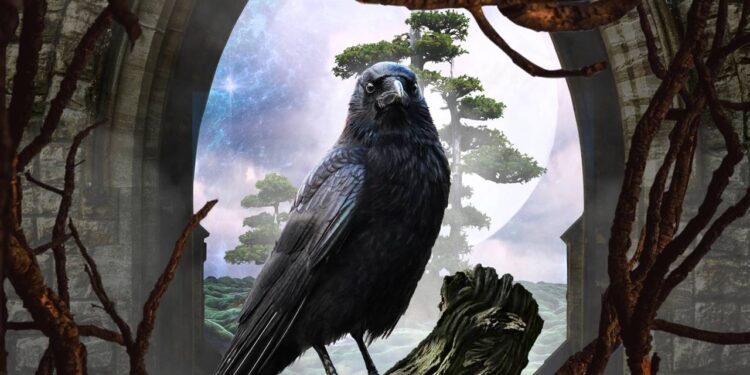 Por que os corvos são considerados alguns dos animais mais inteligentes do mundo?