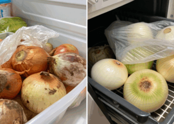 Cebola apodrecendo rápido? O erro na hora de guardar pode estar causando o desperdício