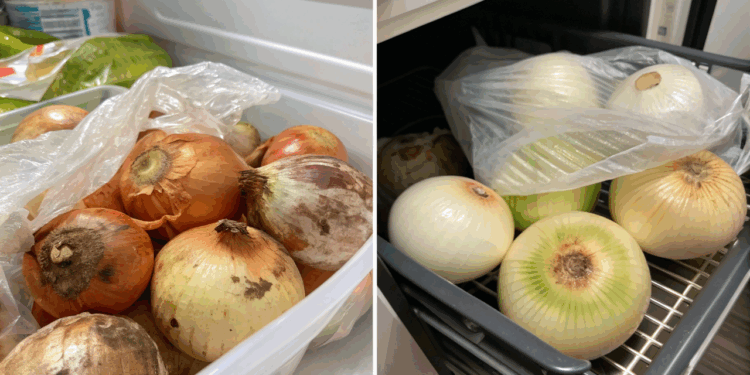 Cebola apodrecendo rápido? O erro na hora de guardar pode estar causando o desperdício