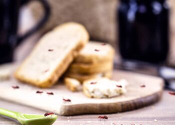 A técnica simples da casca de limão para proteger o lixo e a fruteira da visita de formigas