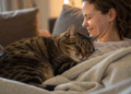 O poder do ronronar dos gatos para reduzir estresse e ansiedade naturalmente, segundo especialistas