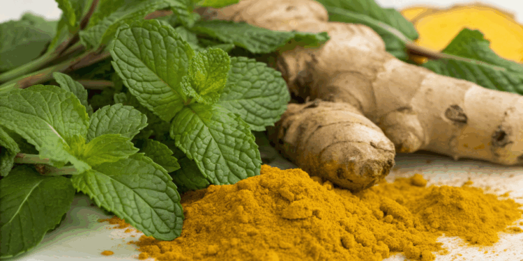 Antes de comprar analgésicos : estas três plantas ajudam a aliviar dor de forma natural