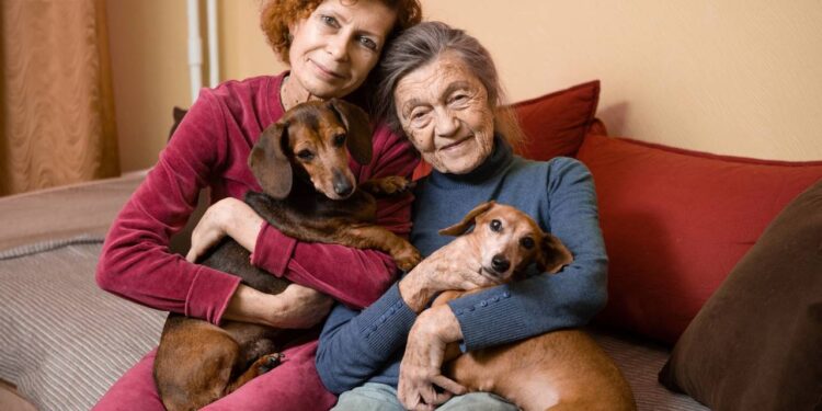 A psicologia diz que o conflito ao cuidar de pais idosos surge porque você ama quem eles foram e sofre por quem estão se tornando