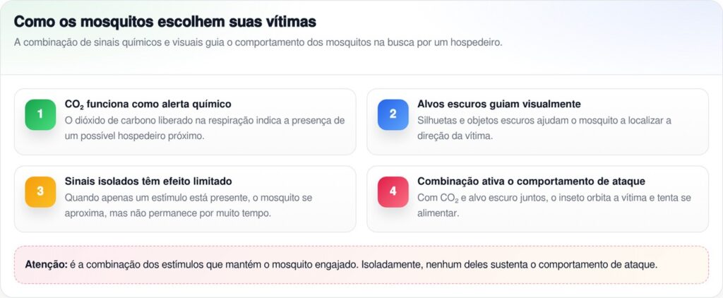 Não é o tipo sanguíneo: a ciência descobriu como mosquitos decidem atacar suas vítimas