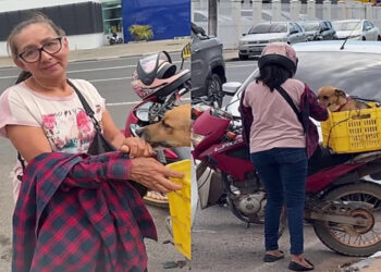 Tutora percorre 140 km de moto para castrar cachorro e gesto emociona moradores em Roraima