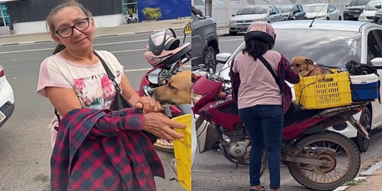 Tutora percorre 140 km de moto para castrar cachorro e gesto emociona moradores em Roraima