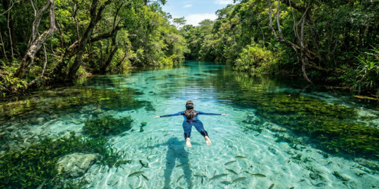 A cidade de águas cristalinas onde a visibilidade chega a 30 metros e a natureza parece um aquário a céu aberto