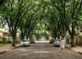 98,6% das ruas têm árvores: a cidade brasileira que a ONU reconheceu como floresta urbana