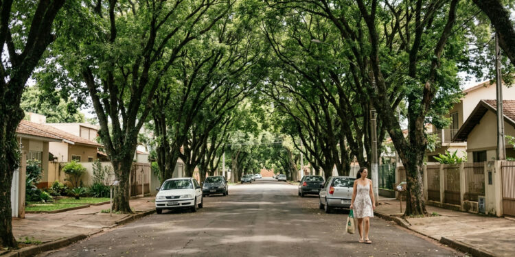 98,6% das ruas têm árvores: a cidade brasileira que a ONU reconheceu como floresta urbana