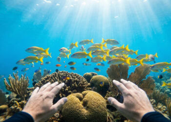 A menor cidade do estado que coleciona selos internacionais tem águas transparentes e praias com mergulhos inacreditáveis