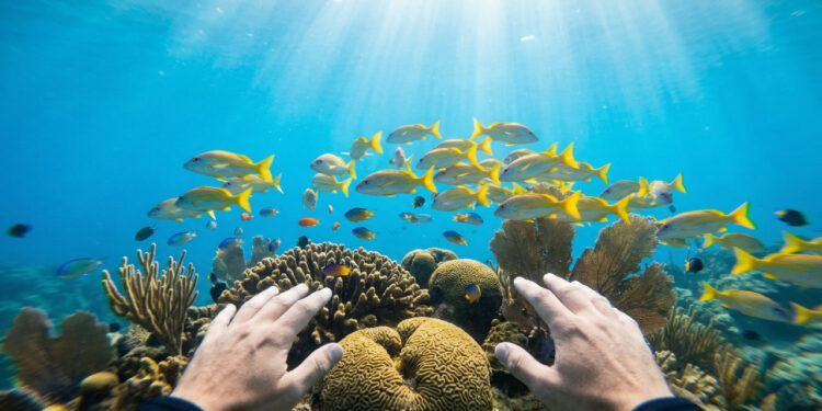 A menor cidade do estado que coleciona selos internacionais tem águas transparentes e praias com mergulhos inacreditáveis