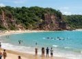 Golfinhos nadam a poucos metros da areia: a praia brasileira que figura entre as 10 melhores do mundo