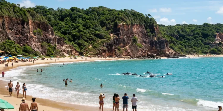 Golfinhos nadam a poucos metros da areia: a praia brasileira que figura entre as 10 melhores do mundo