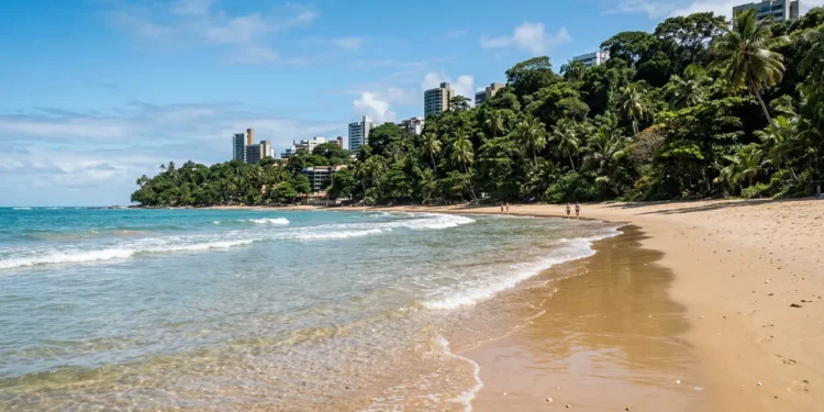 A cidade onde o sol nasce primeiro respira verde com muitas árvores e praias de mar transparente