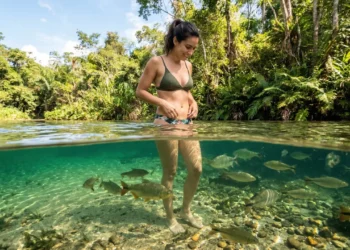 Eleita mais de 14 vezes o melhor destino do Brasil com rios de águas transparentes a 60 metros