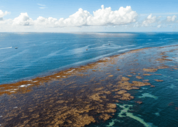 Existe um mar no planeta que não encosta em nenhum continente e isso intriga cientistas há séculos