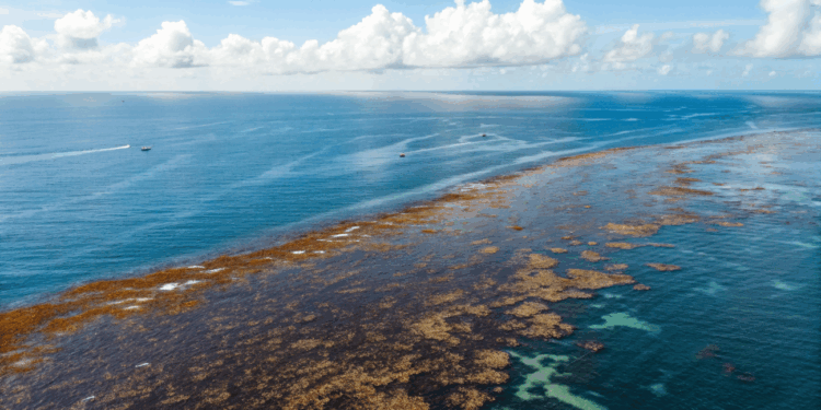 Existe um mar no planeta que não encosta em nenhum continente e isso intriga cientistas há séculos