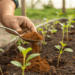 Só uma colher deste ingrediente faz suas mudas de plantas crescerem mais fortes e rapidamente