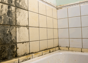 Perigo silencioso como o vapor pós-banho favorece manchas e mofo no seu banheiro