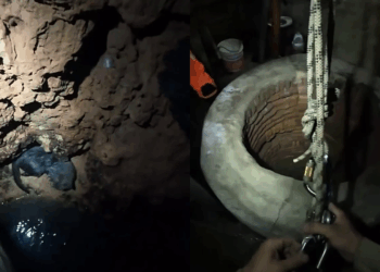 Gato cai em poço de 10 metros durante madrugada chuvosa e resgate emocionante mobiliza bombeiros