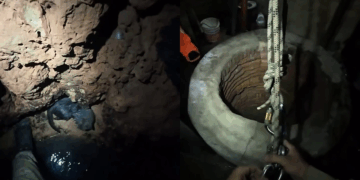 Gato cai em poço de 10 metros durante madrugada chuvosa e resgate emocionante mobiliza bombeiros