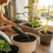 Como plantar abobrinha em casa e colher em poucas semanas sem precisar de quintal