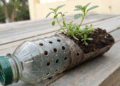 Como plantar em garrafa PET garante plantas sempre verdes sem desperdício de água