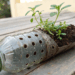 Como plantar em garrafa PET garante plantas sempre verdes sem desperdício de água