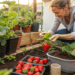 Nem fertilizante nem produto caro: o truque simples que faz morangos crescerem mais