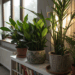 Nem sol direto nem rotina rígida: plantas que sobrevivem com pouca luz em casa