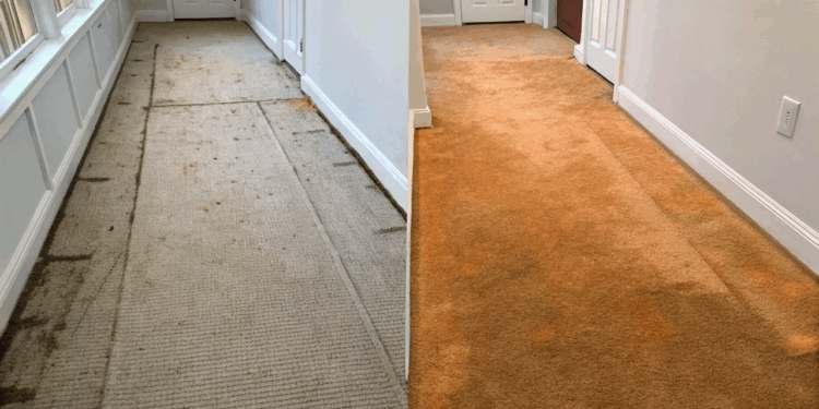 O truque caseiro com bicarbonato que faz os tapetes velhos voltarem a cheirar e parecer novos