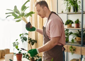 As pragas que invadem o seu vaso quando o solo fica sempre molhado