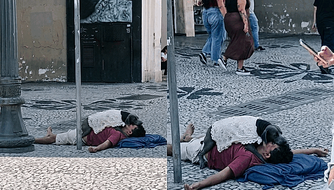 “Voltei por ele”: homem emociona ao contar como cão o protege enquanto dorme